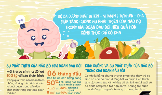 Giúp mẹ hiểu về các dưỡng chất thiết yếu cho sự phát triển não bộ của bé - 1
