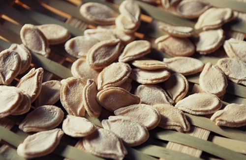 Cách trồng bí xanh amp;#34;3 dễamp;#34; sai trĩu giàn, cho quả ăn ngọt mát suốt hè - 1