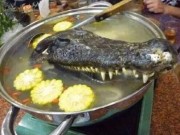 Bếp Eva - Những món ăn kinh dị dù là dân phàm ăn cũng chẳng dám nuốt