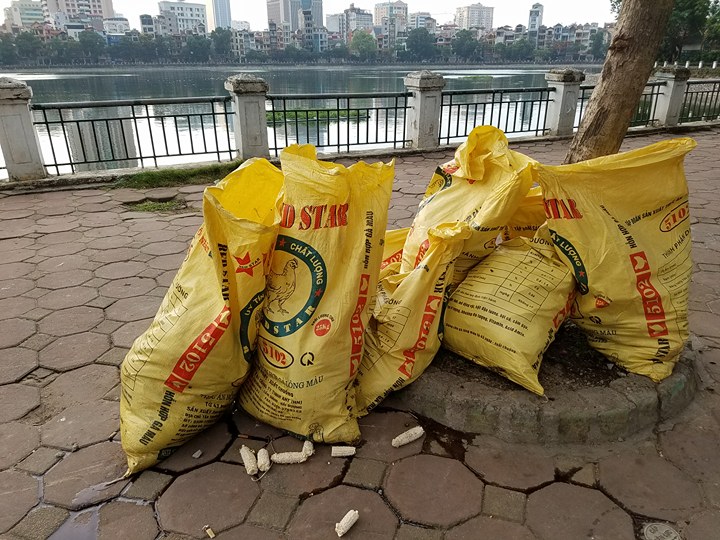 Hà Nội:  Sau tròn 1 năm, cá lại chết trắng mặt hồ Hoàng Cầu - 12