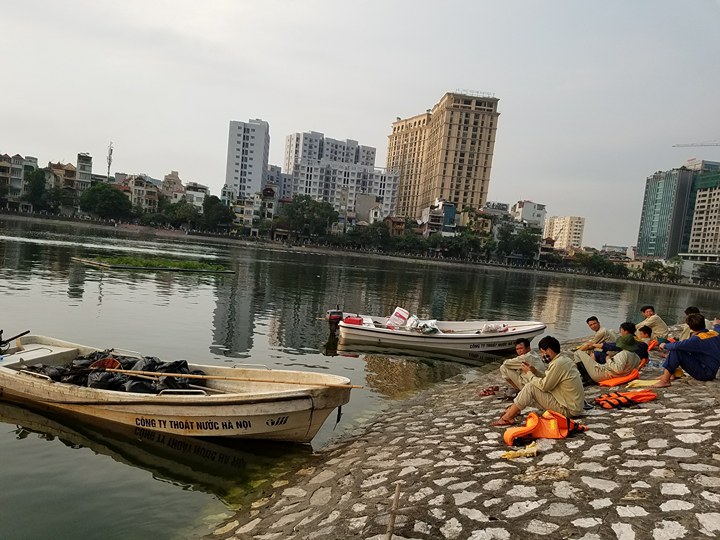 Hà Nội:  Sau tròn 1 năm, cá lại chết trắng mặt hồ Hoàng Cầu - 2