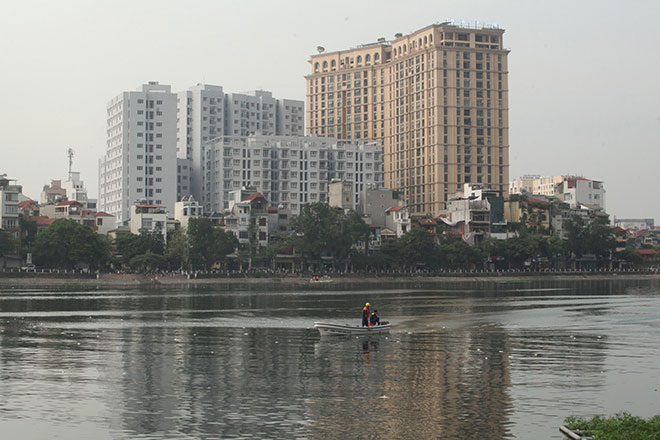 Hà Nội:  Sau tròn 1 năm, cá lại chết trắng mặt hồ Hoàng Cầu - 3