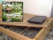 Làm mẹ - 4 bà mẹ gây bức xúc vì để con ăn uống, đập phá homestay nhưng vẫn bênh con chằm chặp