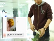 Bếp Eva - Dạy bạn trai gọt dứa qua tin nhắn, cô gái cười đau ruột vì “thế này bao giờ mới lấy được vợ”