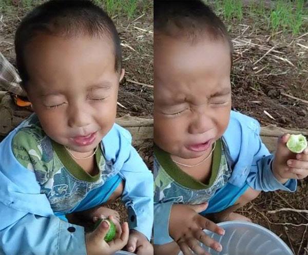 Biểu cảm đáng yêu của bé 2 tuổi ngồi ăn chanh nhận amp;#34;bão likeamp;#34; khiến bao người phải nuốt nước miếng - 1