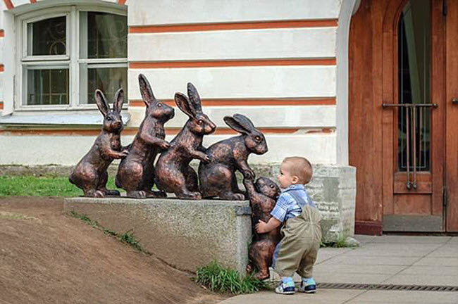 “Người hùng nhí” ra tay giúp đàn thỏ.
