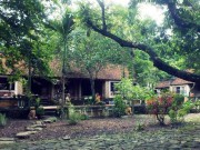 Nhà đẹp - Ngôi nhà Việt cổ hiếm hoi tồn tại hơn 200 năm của họa sĩ Bùi Hoài Mai
