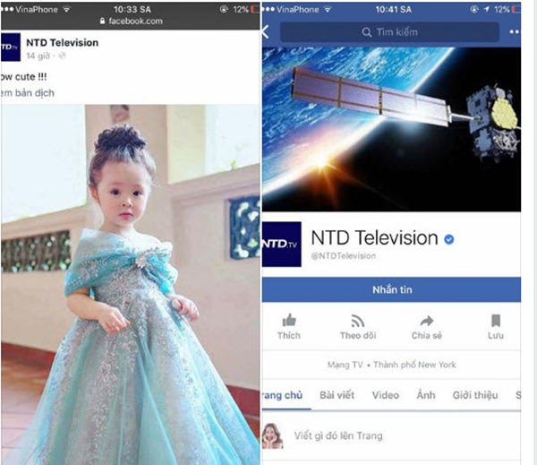 Không thể tin sức ảnh hưởng của Cadie Mộc Trà đã vươn tầm quốc tế mạnh đến thế này - 2