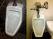 Nhà đẹp - Chồng thấy vợ đổ hết đá lạnh xuống bồn cầu, định trách móc nhưng hoá ra...