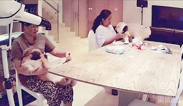 Mỹ nhân Hongkong amp;#34;xài tiền như nướcamp;#34; nhờ cặp bồ với đại gia U60 - 4