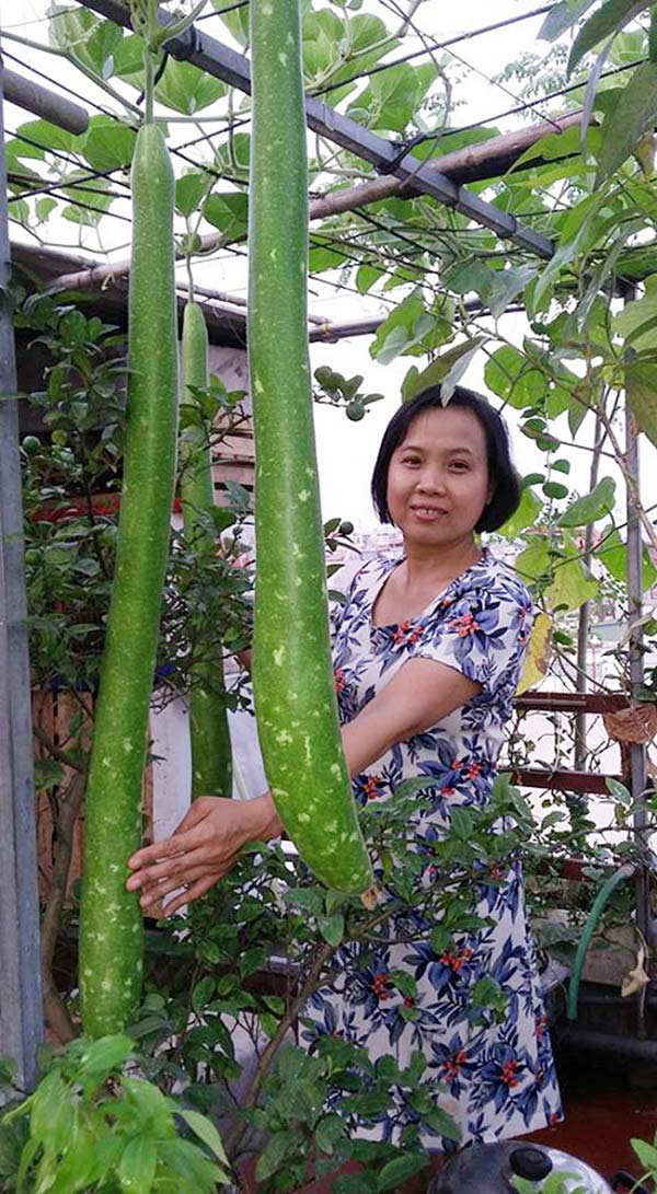 amp;#34;Soái caamp;#34; Hà thành chiều vợ, phá mái tôn để trồng rau, nuôi gà - 7