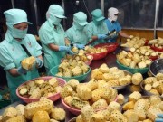 Mua sắm - Giá cả - Kỳ vọng xuất khẩu nông lâm thủy sản đạt 33 tỷ USD, được không?