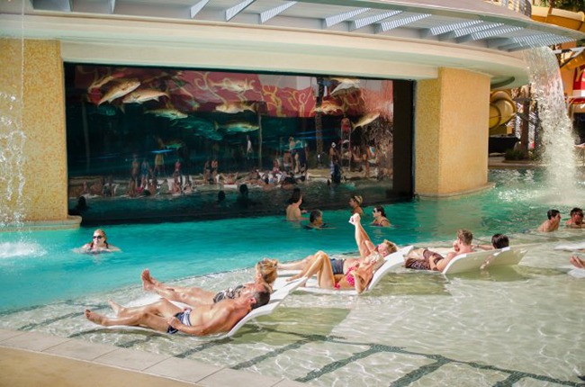 Hồ bơi tại Golden Nugget ở Las Vegas, Mỹ         

Thư giãn ở The Tank, bể bơi cùng cá mập ở khách sạn Golden Nugget Las Vegas. 
