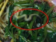 Tin tức - Ăn mỳ trong nhà hàng, nữ sinh kinh hãi thấy con rắn nổi lềnh bềnh trong bát