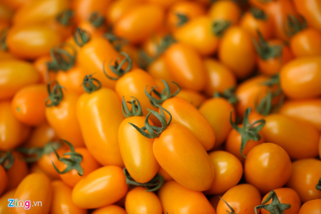 Chuyện thật như đùa: Dùng bỉm trồng rau, bia tưới nấm, ngô bón cam... - 12