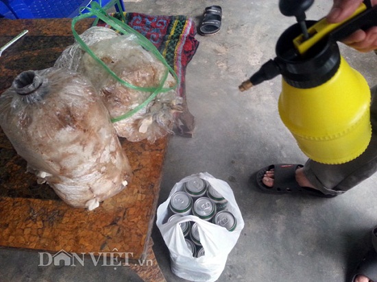 Chuyện thật như đùa: Dùng bỉm trồng rau, bia tưới nấm, ngô bón cam... - 7