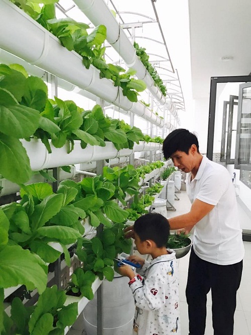 Bất ngờ trước hình ảnh cả gia đình sao Việt dù bận rộn vẫn cùng nhau hái rau, làm vườn - 9