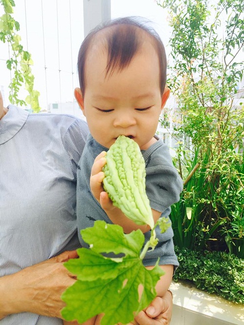 Bất ngờ trước hình ảnh cả gia đình sao Việt dù bận rộn vẫn cùng nhau hái rau, làm vườn - 8