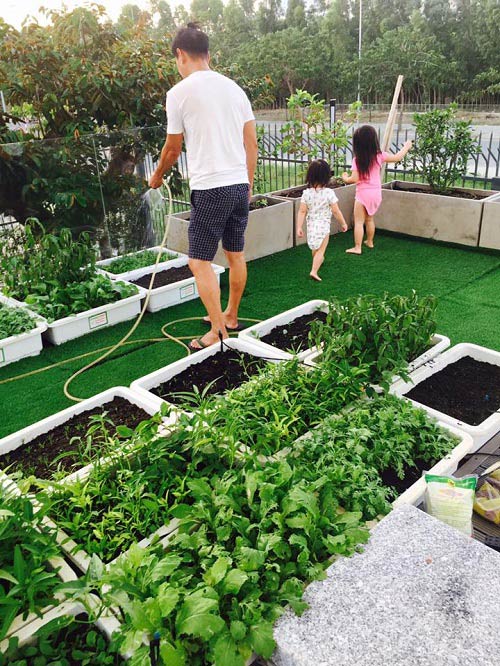 Bất ngờ trước hình ảnh cả gia đình sao Việt dù bận rộn vẫn cùng nhau hái rau, làm vườn - 1