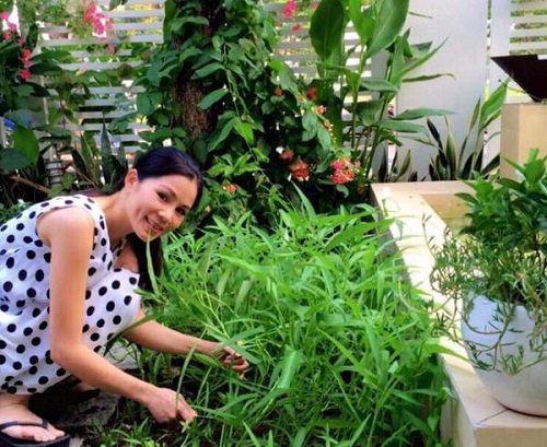 Bất ngờ trước hình ảnh cả gia đình sao Việt dù bận rộn vẫn cùng nhau hái rau, làm vườn - 12