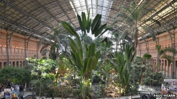 Một ngôi nhà Việt dung dị bất ngờ lọt top những công trình xanh độc đáo nhất thế giới - 10