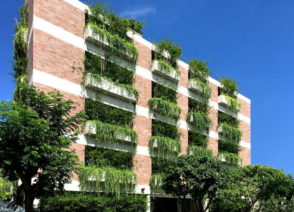 Một ngôi nhà Việt dung dị bất ngờ lọt top những công trình xanh độc đáo nhất thế giới - 2