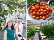 Nhà đẹp - Từng không biết gì về trồng trọt, mẹ Việt giờ đã sở hữu vườn rau sạch đẹp như "công viên mini"