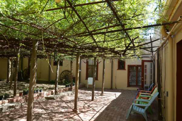 Cây hoa hồng nhận kỉ lục Guinness thế giới vì... to lớn như cây cổ thụ - 4