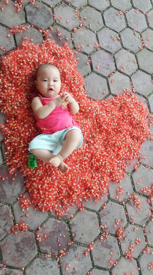 Hoa lộc vừng rụng đỏ sân, dân mạng thi nhau khoe ảnh amp;#34;quét hoa nghệ thuậtamp;#34; - 7