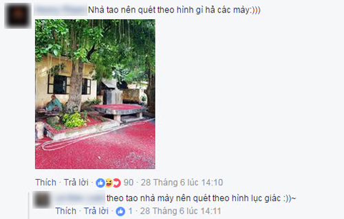 Hoa lộc vừng rụng đỏ sân, dân mạng thi nhau khoe ảnh amp;#34;quét hoa nghệ thuậtamp;#34; - 20