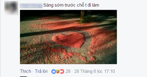 Hoa lộc vừng rụng đỏ sân, dân mạng thi nhau khoe ảnh amp;#34;quét hoa nghệ thuậtamp;#34; - 11