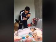 Clip Eva - Chú chó một lòng bảo vệ em bé trước những "đòn hăm dọa" ... vờ vịt từ bố