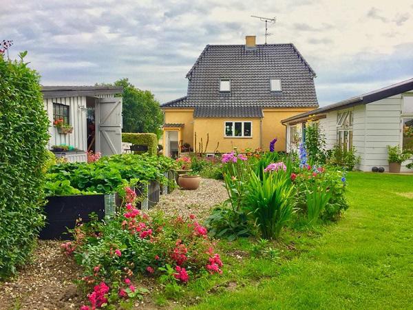 Không ham nhà cao cửa rộng, hai amp;#34;trai đẹpamp;#34; về quê trồng rau nuôi gà, chị em nhìn phát ghen - 4