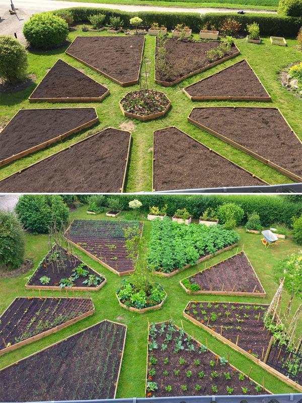 Không ham nhà cao cửa rộng, hai amp;#34;trai đẹpamp;#34; về quê trồng rau nuôi gà, chị em nhìn phát ghen - 7