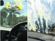 Clip Eva - Thực hư tin đồn: Ném trứng vào kính ô tô - "chiêu thức" mới của côn đồ trên cao tốc