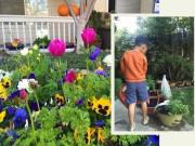 Nhà đẹp - Mẹ Việt ở Mỹ miệt mài trồng 2000 củ hoa rực sắc trong vườn vì con trai bị tự kỷ