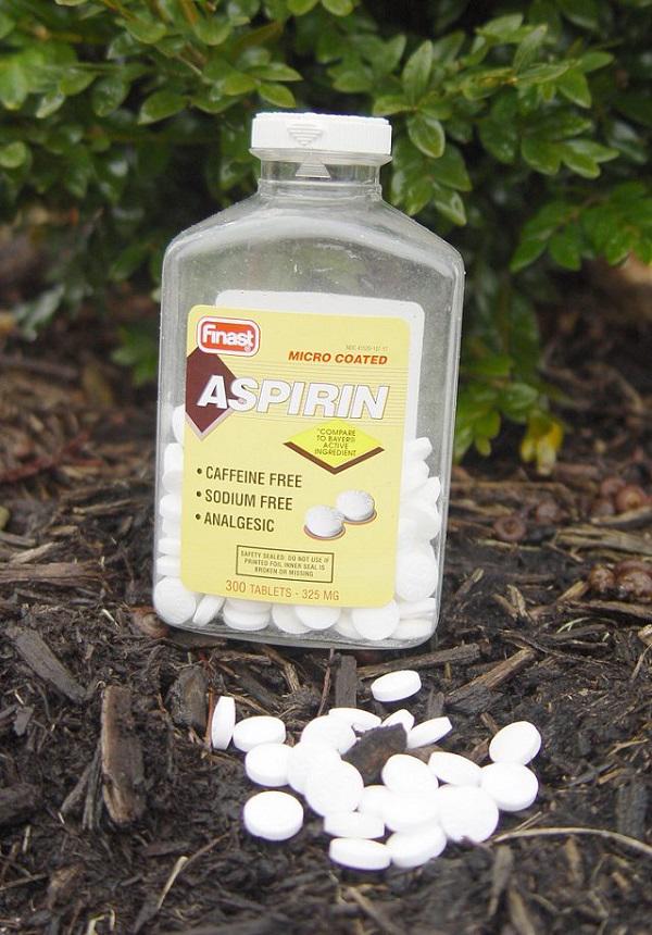 Cách sử dụng thuốc aspirin để tưới cây