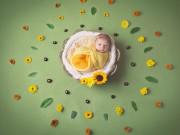 Làm mẹ - Ngắm những bé sơ sinh cuộn tròn trong ổ này, đến cô gái độc thân cũng muốn sinh con