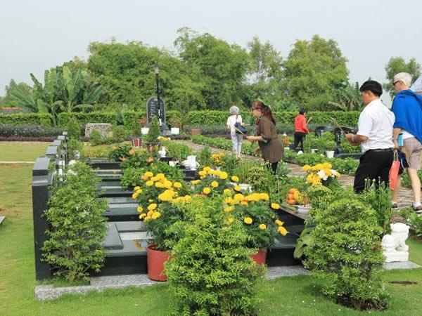 Tiết Thanh Minh đi tảo mộ nên chọn loại hoa nào để không phạm cấm kị? - 2