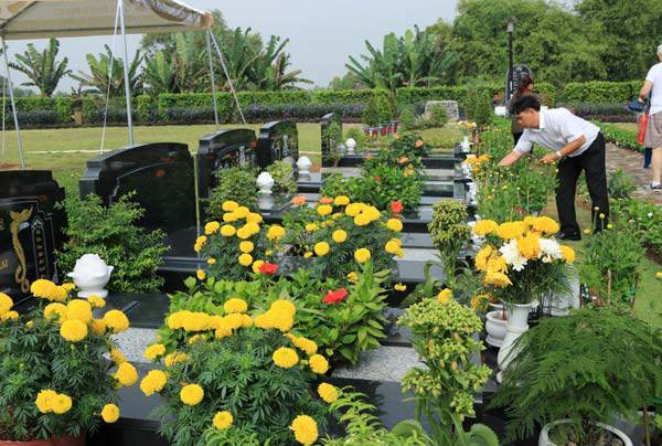 Tiết Thanh Minh đi tảo mộ nên chọn loại hoa nào để không phạm cấm kị? - 1