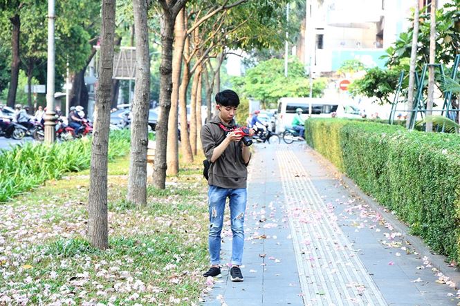 Hoa kèn hồng rực rỡ khoe sắc giữa lòng Sài Gòn amp;#34;đốn timamp;#34; du khách - 8