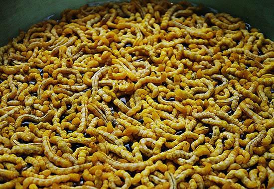 amp;#34;Hoảng hồnamp;#34; với những đặc sản sâu bọ sống bò nhung nhúc từ 3 miền - 13