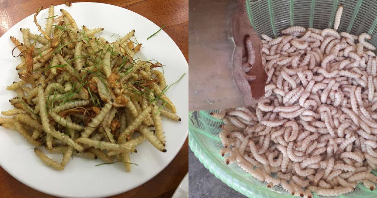 amp;#34;Hoảng hồnamp;#34; với những đặc sản sâu bọ sống bò nhung nhúc từ 3 miền - 7