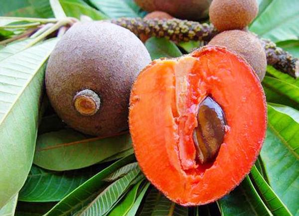 Hồng xiêm ruột đỏ khủng 2kg/quả độc lạ thế nào mà gây sốt ở Thủ đô? - 2