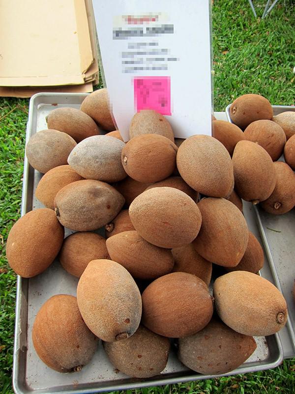 Hồng xiêm ruột đỏ khủng 2kg/quả độc lạ thế nào mà gây sốt ở Thủ đô? - 11