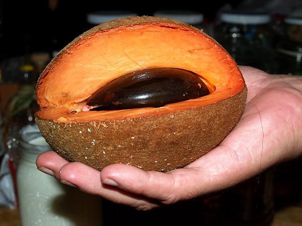 Hồng xiêm ruột đỏ khủng 2kg/quả độc lạ thế nào mà gây sốt ở Thủ đô? - 12