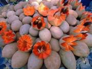 Mua sắm - Giá cả - Hồng xiêm ruột đỏ khủng 2kg/quả độc lạ thế nào mà gây sốt ở Thủ đô?