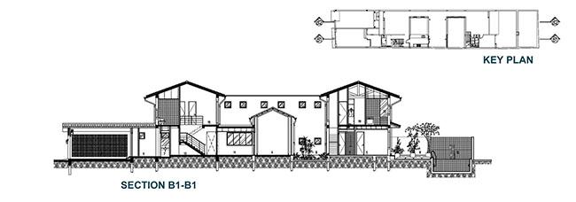 nha ong chat hep bien hinh thanh nha vuon xanh muot, sang bung suc song - 16