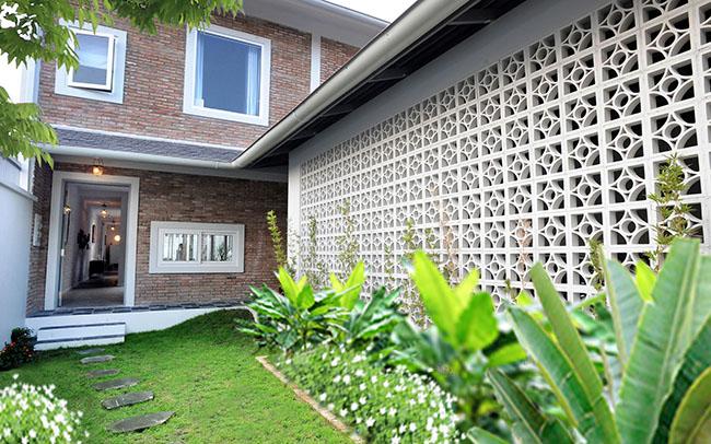 nha ong chat hep bien hinh thanh nha vuon xanh muot, sang bung suc song - 2