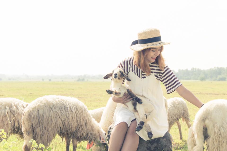 Hè đến rủ nhau về Vũng Tàu thăm đồng cừu bình yên, thơ mộng - 5